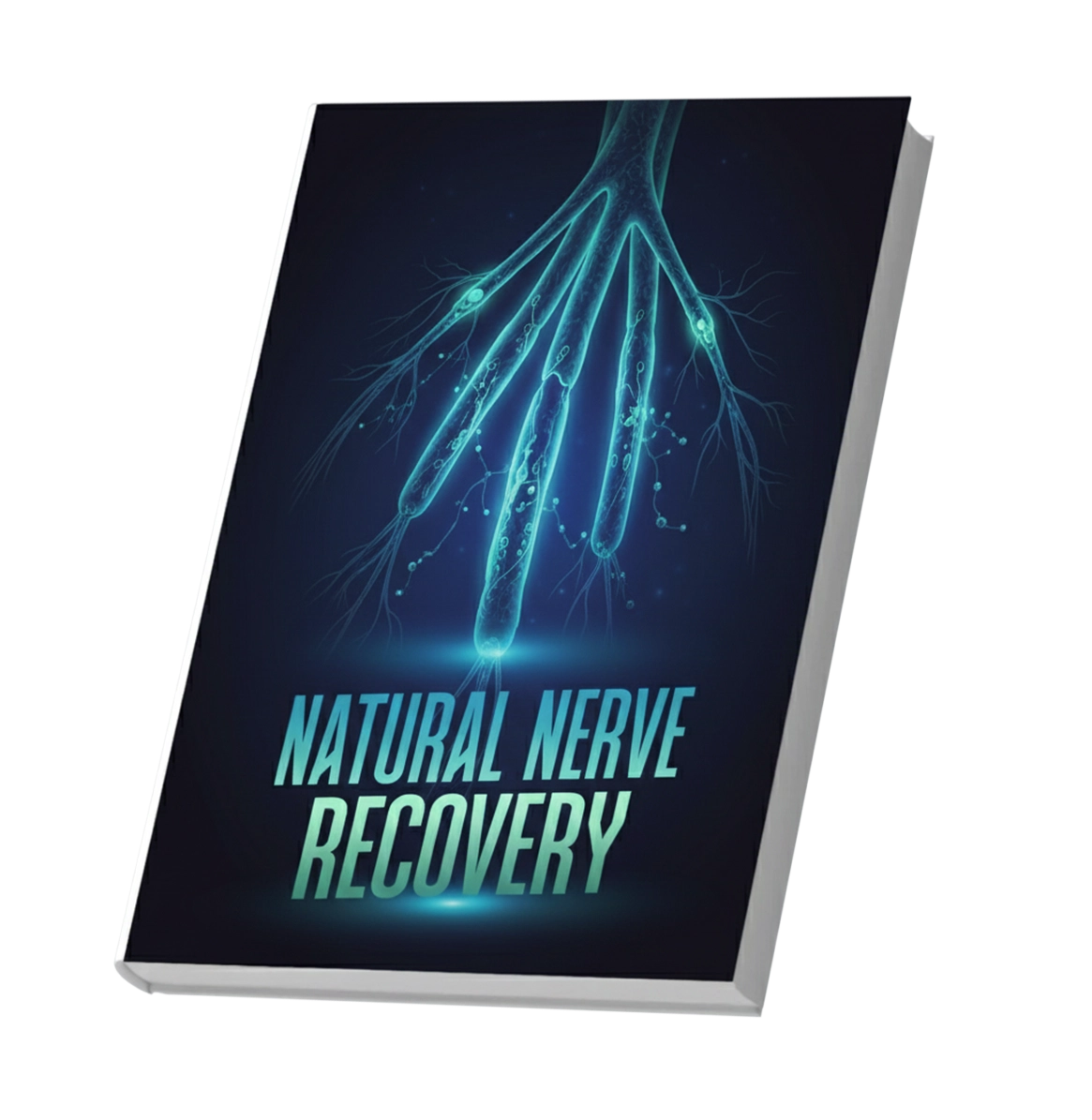 Natural Nerve Recovery bonus